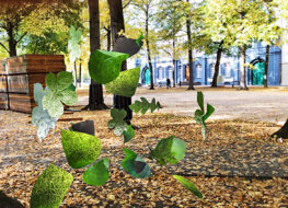 009a - Digital Exchange von Above und Below